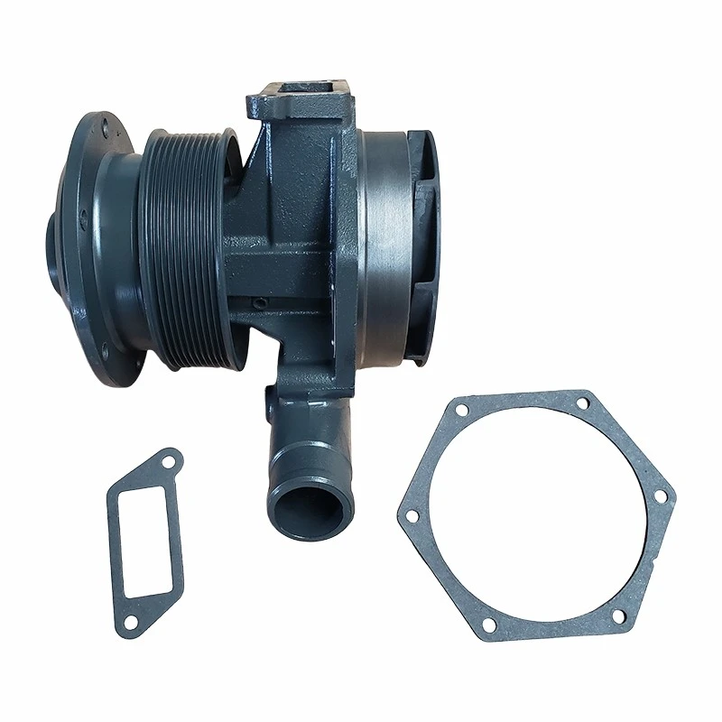 1000402861 Water Pump best