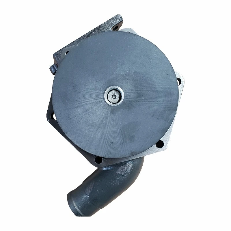 1000402861 Water Pump high quality