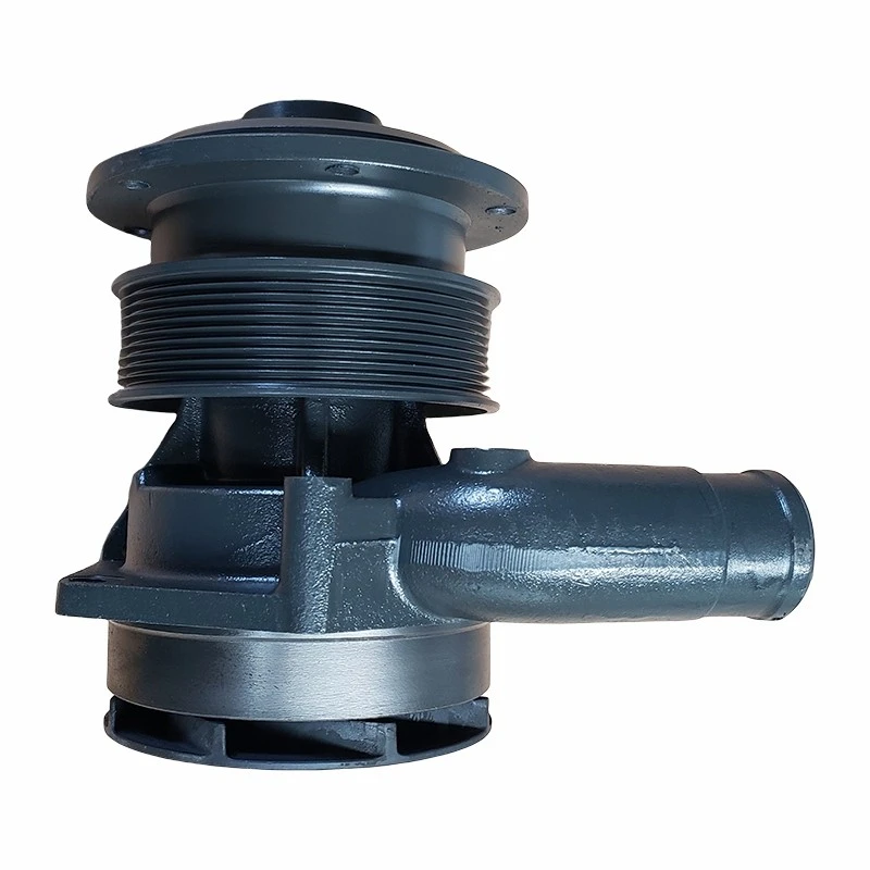 1000402861 Water Pump factory
